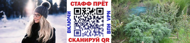 Цена Магадан Псилоцибиновые грибы АМФЕТАМИН Alpha PVP Меф мяу мяу ГАШ Кокаин Бошки Шишки