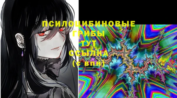каннабис Осташков