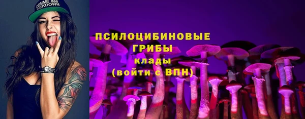 таблы Алзамай