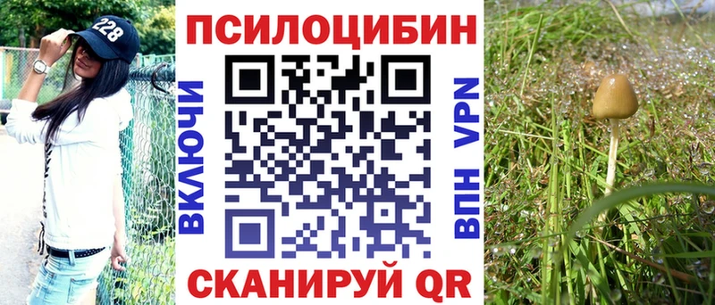 купить наркотик  Магадан  МЕГА ONION  Галлюциногенные грибы прущие грибы 