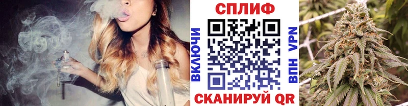 Бошки Шишки THC 21%  Магадан 